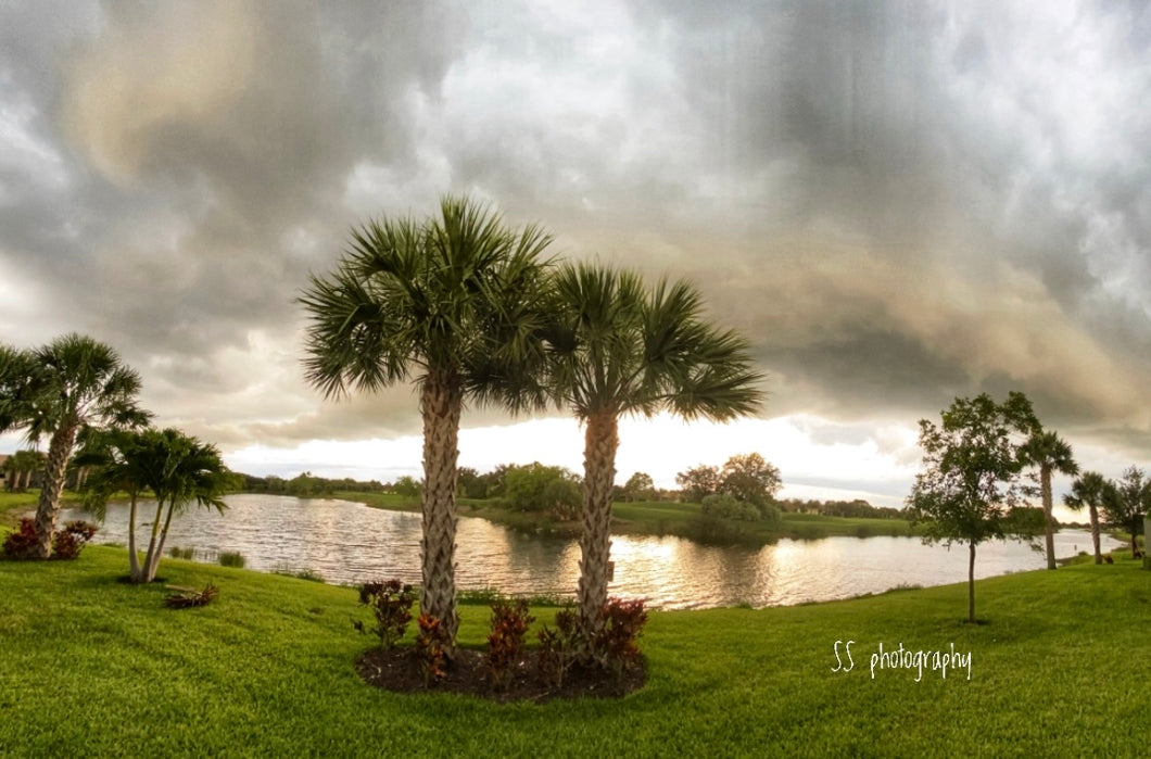 Notecard ~ Stormy Sky Del Webb