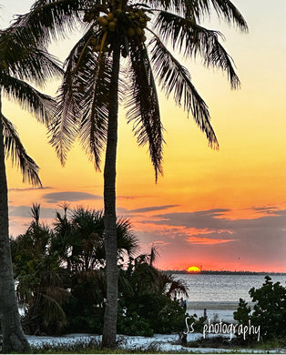 Notecard ~ Sunset Bowditch Beach View #2