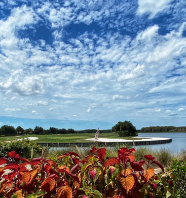 Notecard ~ Flora Coleus at Panther Run Golf Club