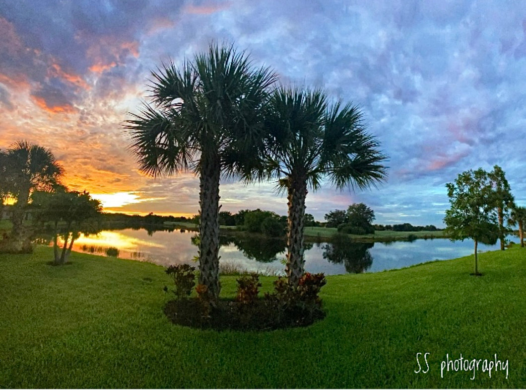 Notecard ~ Sunrise Our Backyard #2