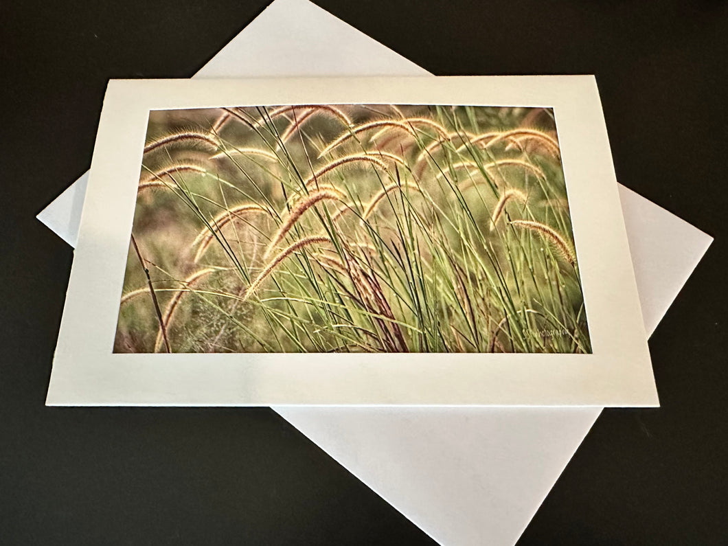 Notecard ~ Out & About Fountain Grass