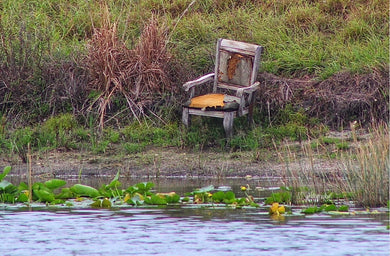 Notecard ~ Out & About Abandon Chair