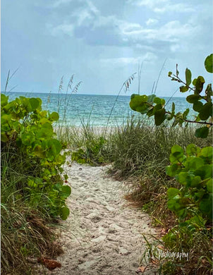 Notecard ~ Beach Path Delnor-Wiggins