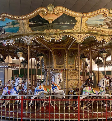 Notecard ~ Out & About Carousel