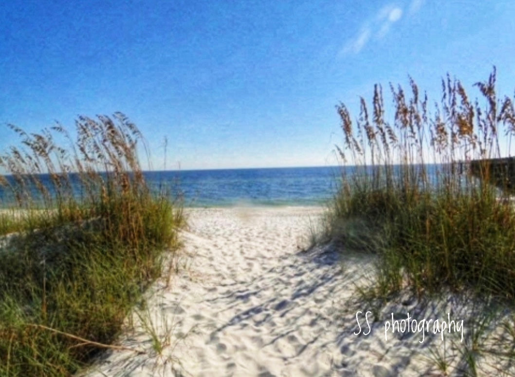 Notecard ~ Beach Path Bowditch