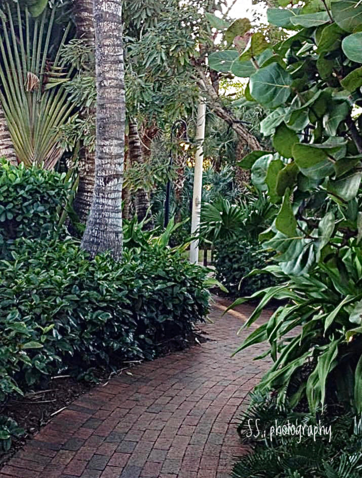 Notecard ~ Flora Path Boca Grande