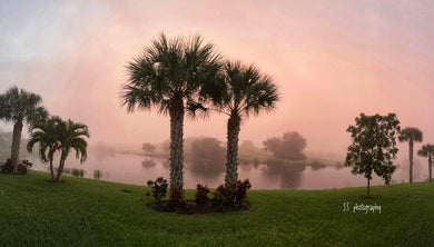 Notecard ~ Sunrise Our Back Yard Fog